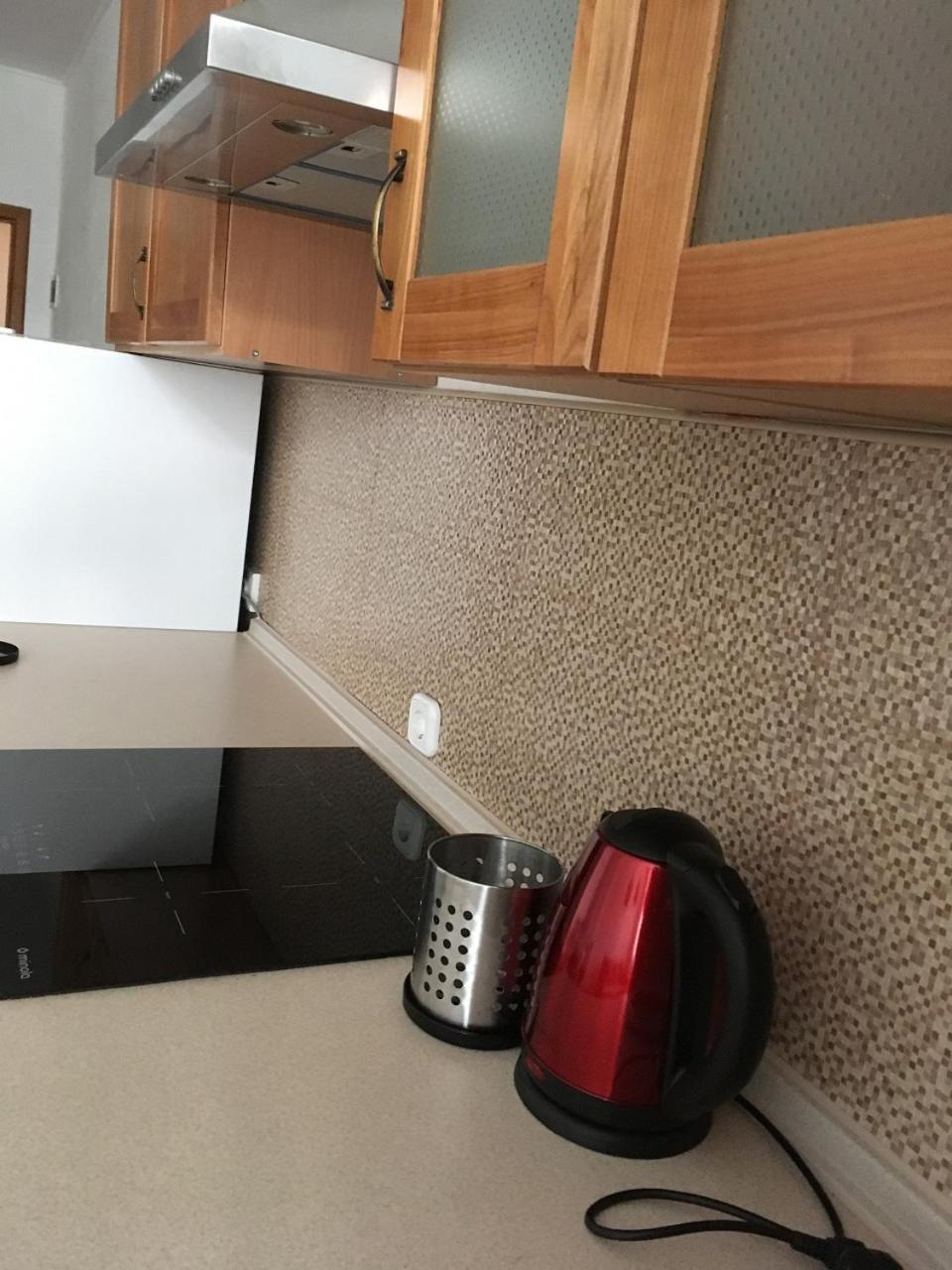 Apartaments In Karpaty Mizhhirya  外观 照片