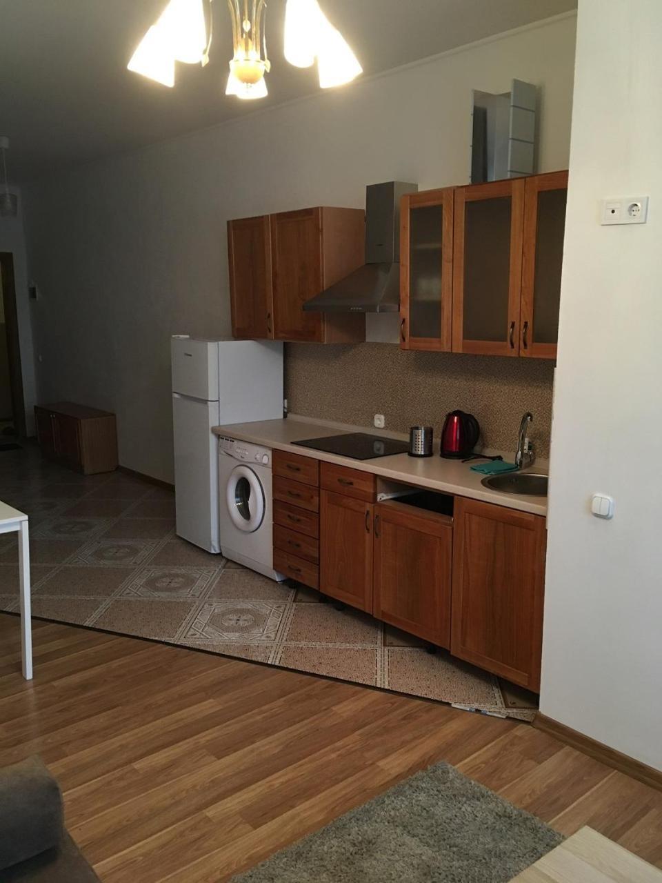 Apartaments In Karpaty Mizhhirya  外观 照片