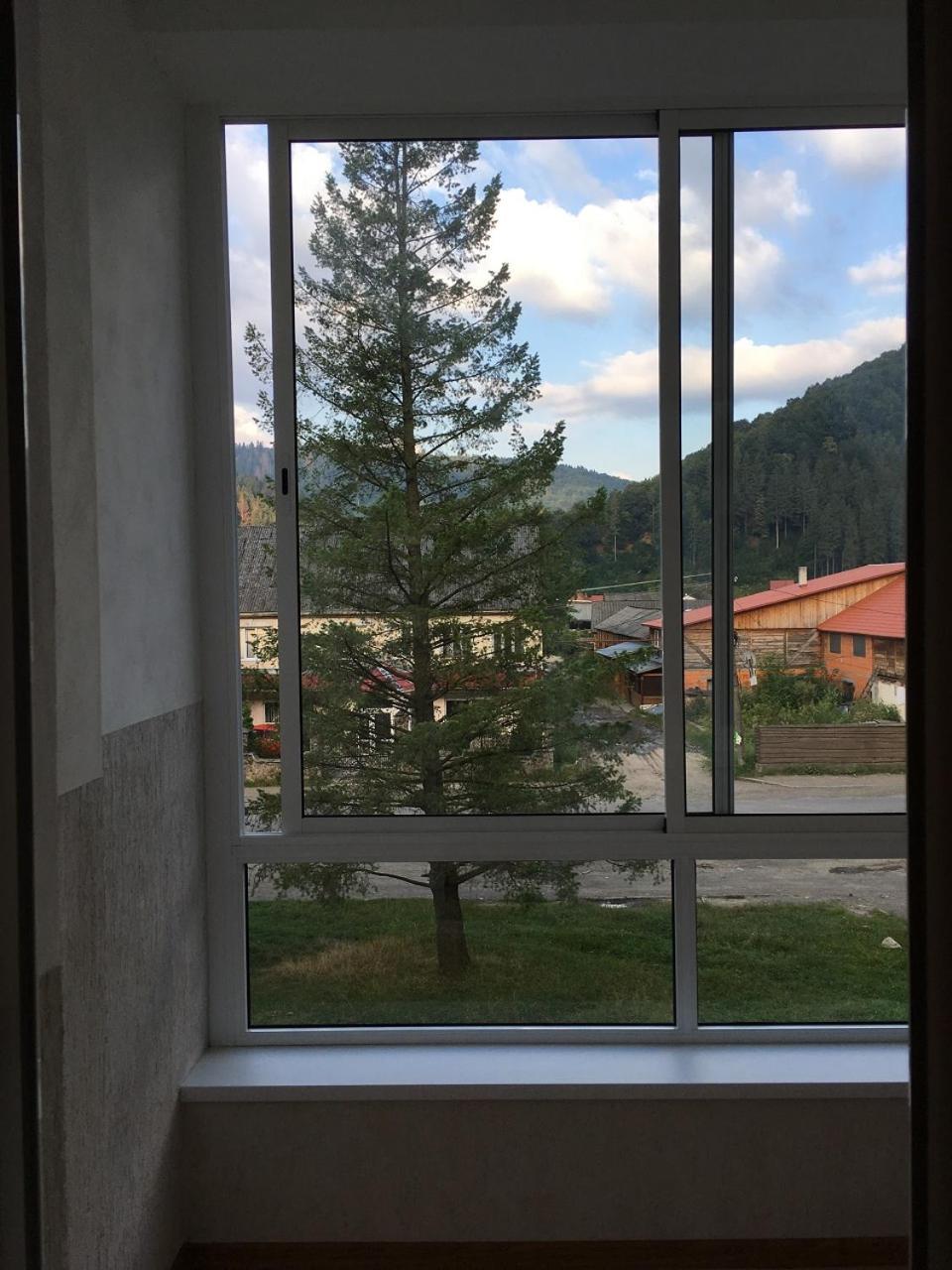 Apartaments In Karpaty Mizhhirya  外观 照片