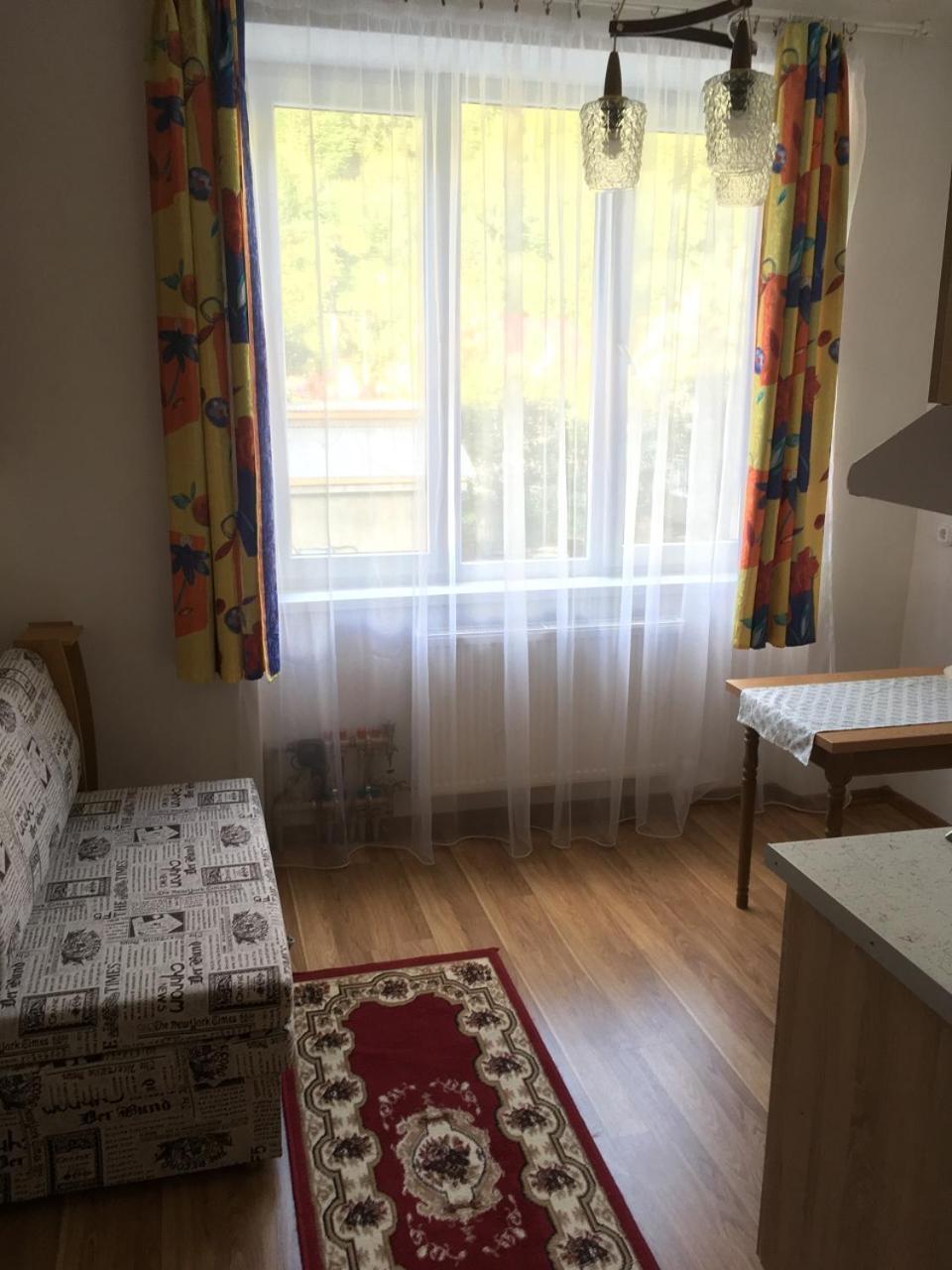 Apartaments In Karpaty Mizhhirya  外观 照片