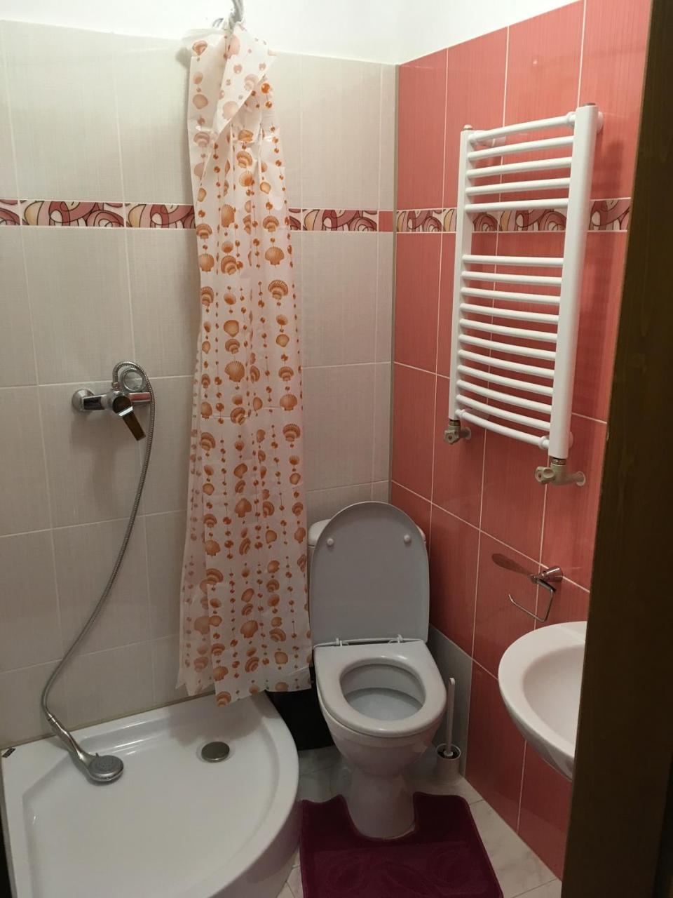 Apartaments In Karpaty Mizhhirya  外观 照片