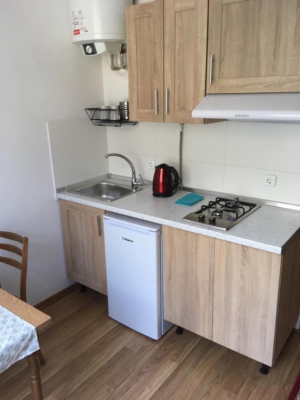 Apartaments In Karpaty Mizhhirya  外观 照片