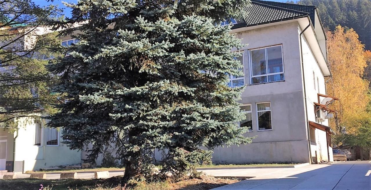 Apartaments In Karpaty Mizhhirya  外观 照片